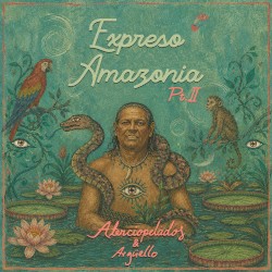 Expreso Amazonia, Pt. II