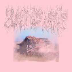 Blasted Heath
