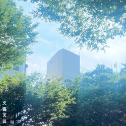 緑地化計画