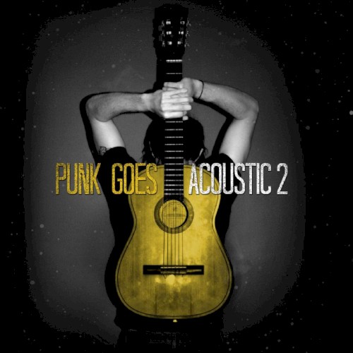Punk Goes Acoustic 2