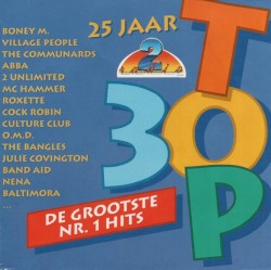 25 jaar Radio 2 Top 30: De grootste nr. 1 hits