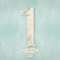 One of One