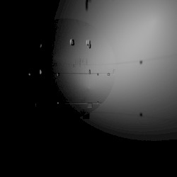 Synthetic Entities