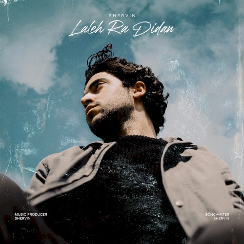 Laleh Ra Didan