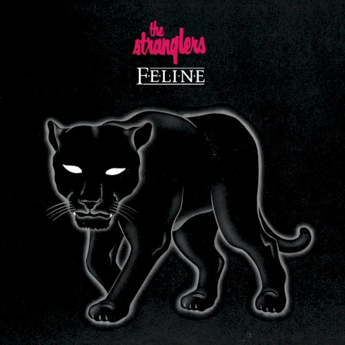 Feline