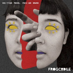 Shuffled Pieces_Puzzled Brains