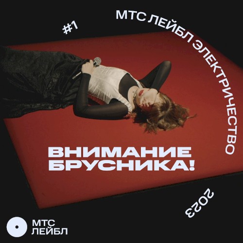 МТС Лейбл Электричество