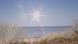 Beach Ave.