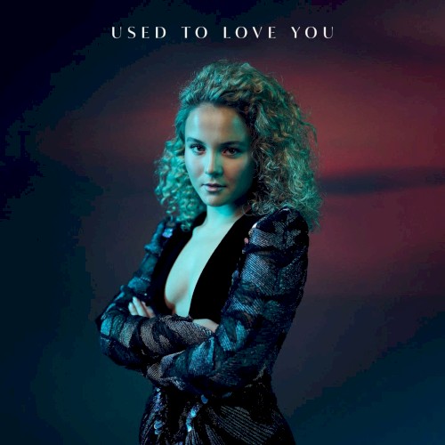Used to Love You