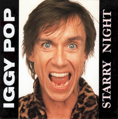 Starry Night