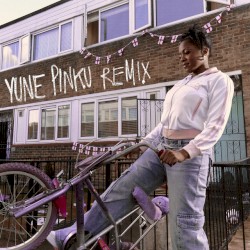 It Is What It Is (yunè pinku Remix)