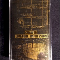 Gnawed / Ligature Impression