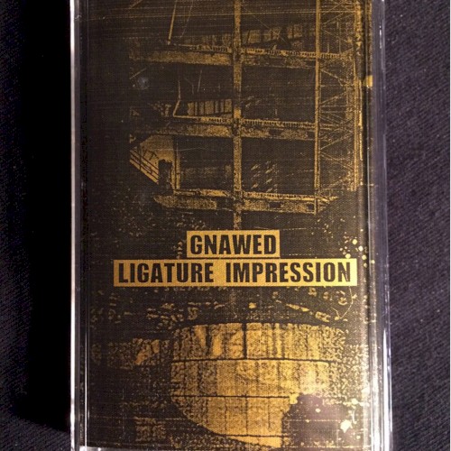 Gnawed / Ligature Impression