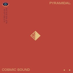 Cosmic Sound