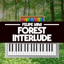Forest Interlude (From “Donkey Kong Country 2”)