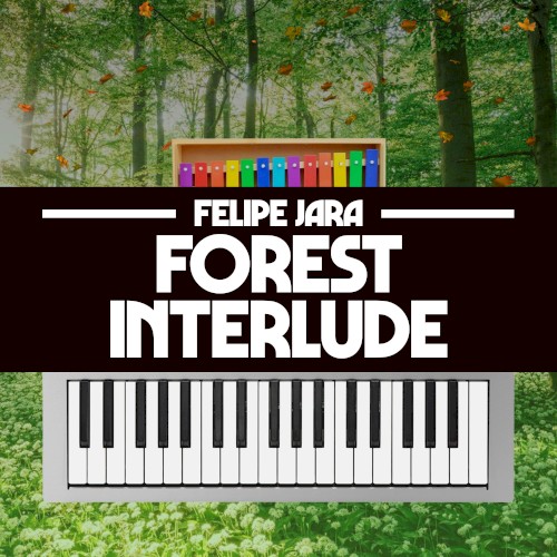 Forest Interlude (From “Donkey Kong Country 2”)