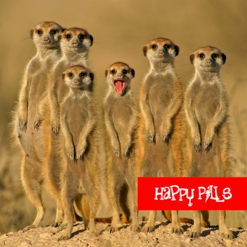 Happy Pills