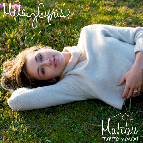 Malibu (Tiësto remix)