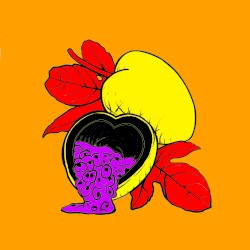 Passionfruit