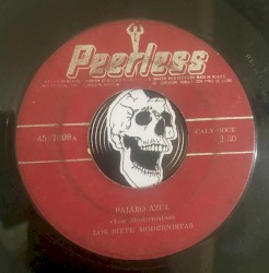 Pájaro twist / Antes