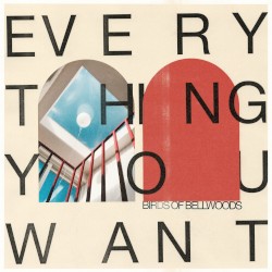 Everything You Want