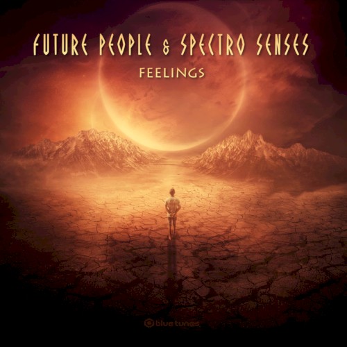 Feelings