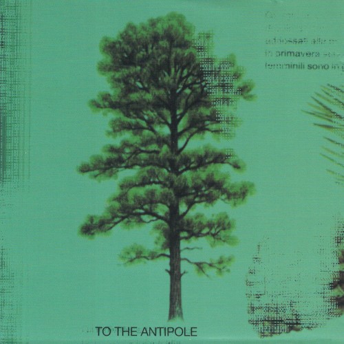 To the antipole