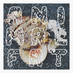 Animal Fat