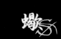 蠍