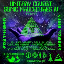 Unitary Covert Sonic Procedures IV