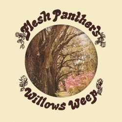 Willows Weep