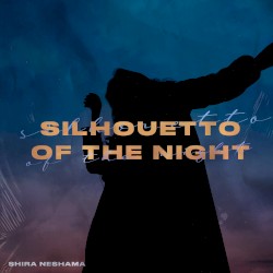Silhouetto of the Night