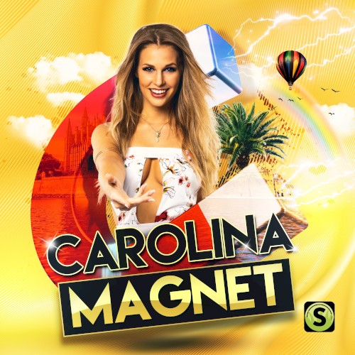 Magnet