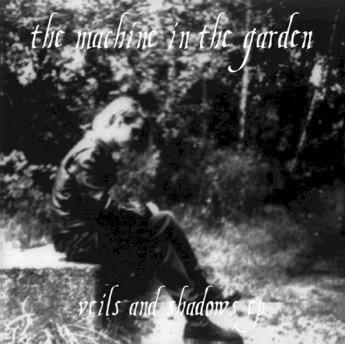 Veils and Shadows