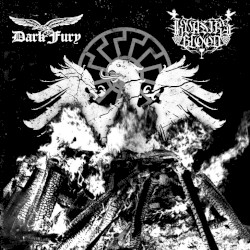 Dark Fury / Kvasir's Blood