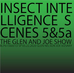 Insect Intelligence