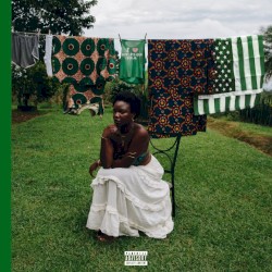 THE NAIJAMERICAN DREAM