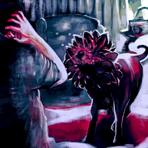 Noir Dahlia