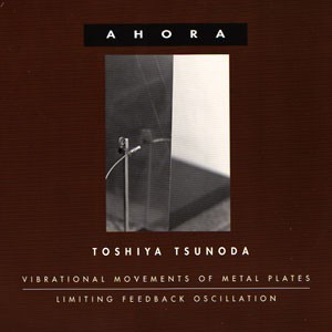 Vibrational Movements of Metal Plates / Limiting Feedback Oscillation