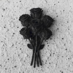 Mayday