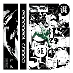 CHAOS