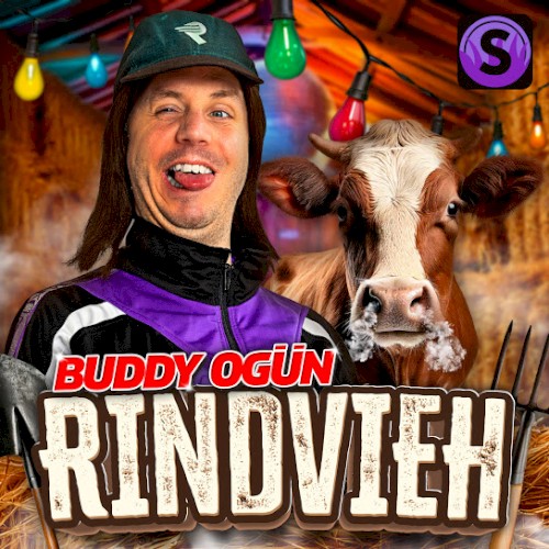 Rindvieh