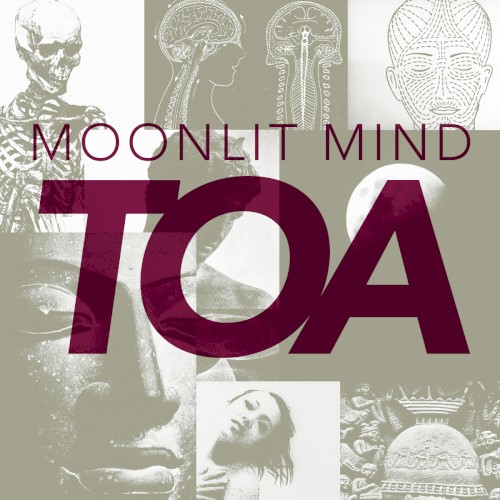 Moonlit Mind