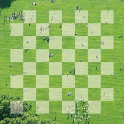 Chessboard / 日常