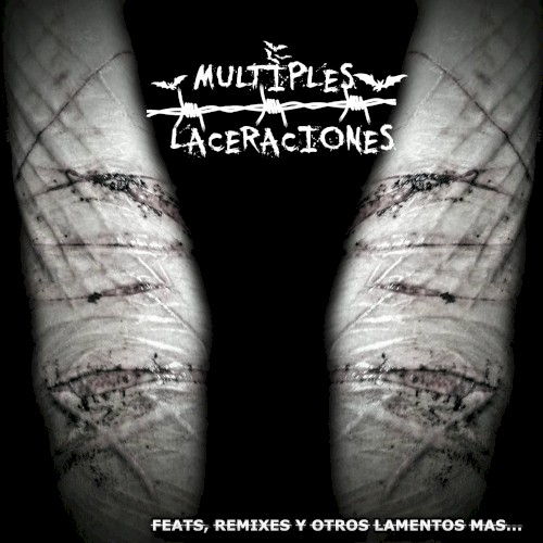 Feats, Remixes y Otros Lamentos Mas...