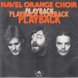 Playback / A Roadside Song