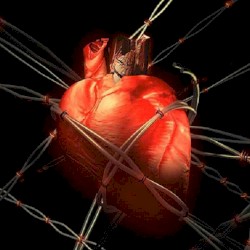 Heartcore