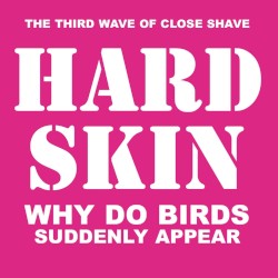 Why Do Birds Suddenly Appear