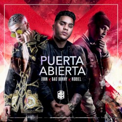 Puerta abierta