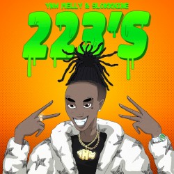 223’s